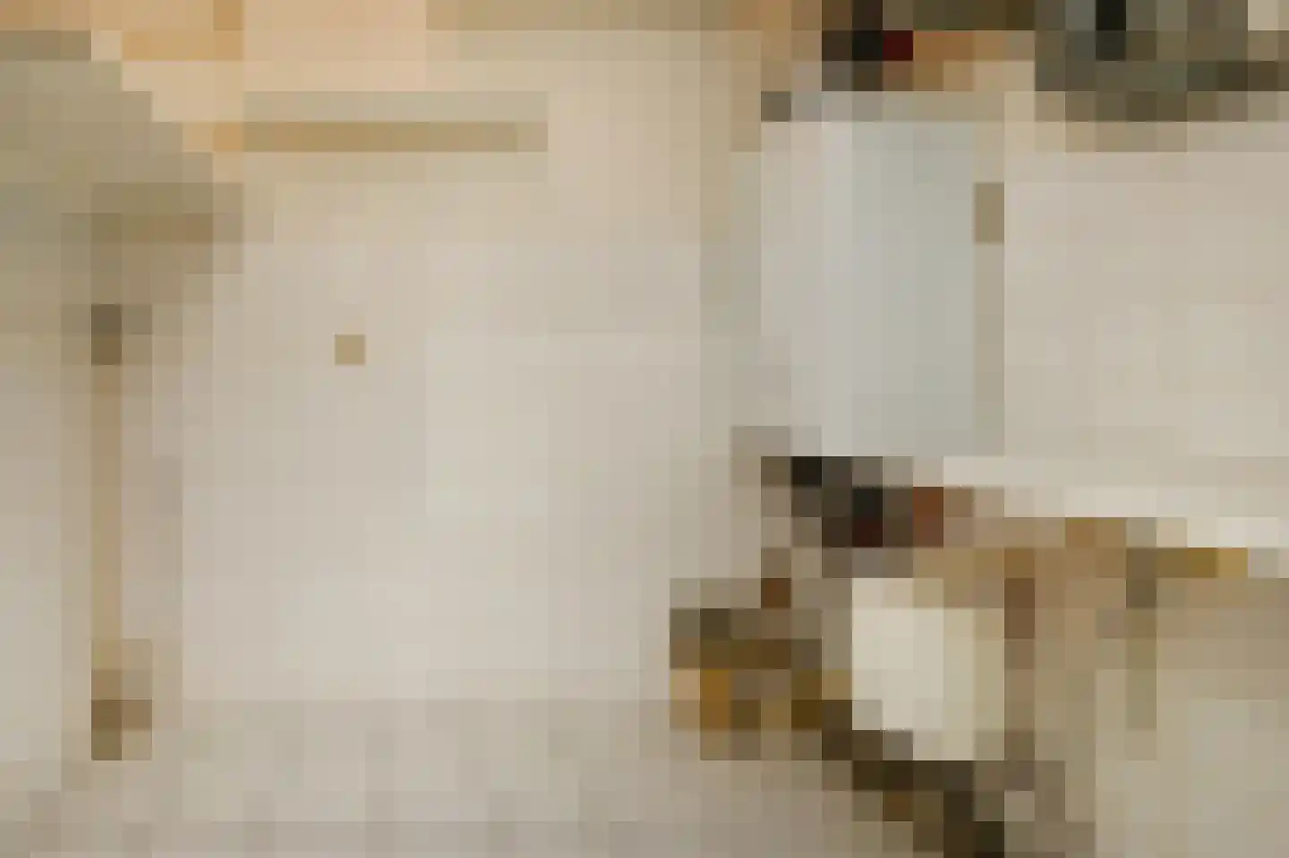 Dublinstraat 123 Zoetermeer thumbnail 38
