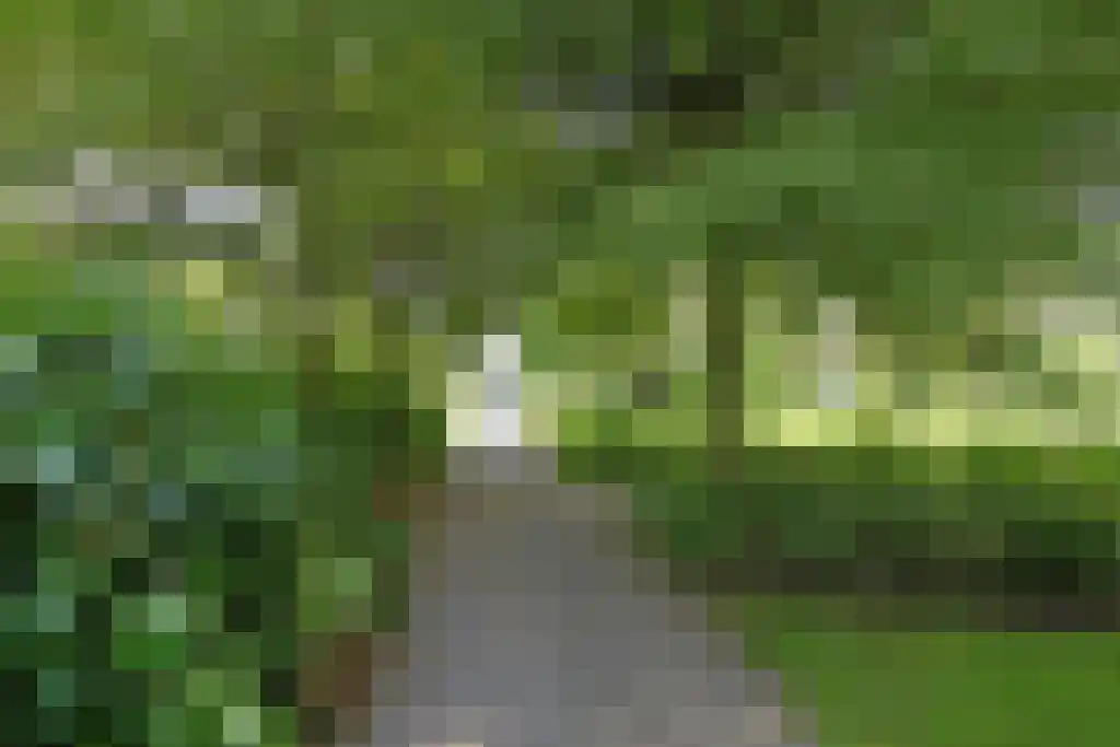 Dublinstraat 123 Zoetermeer thumbnail 41