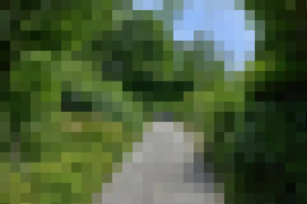 Dublinstraat 123 Zoetermeer thumbnail 42