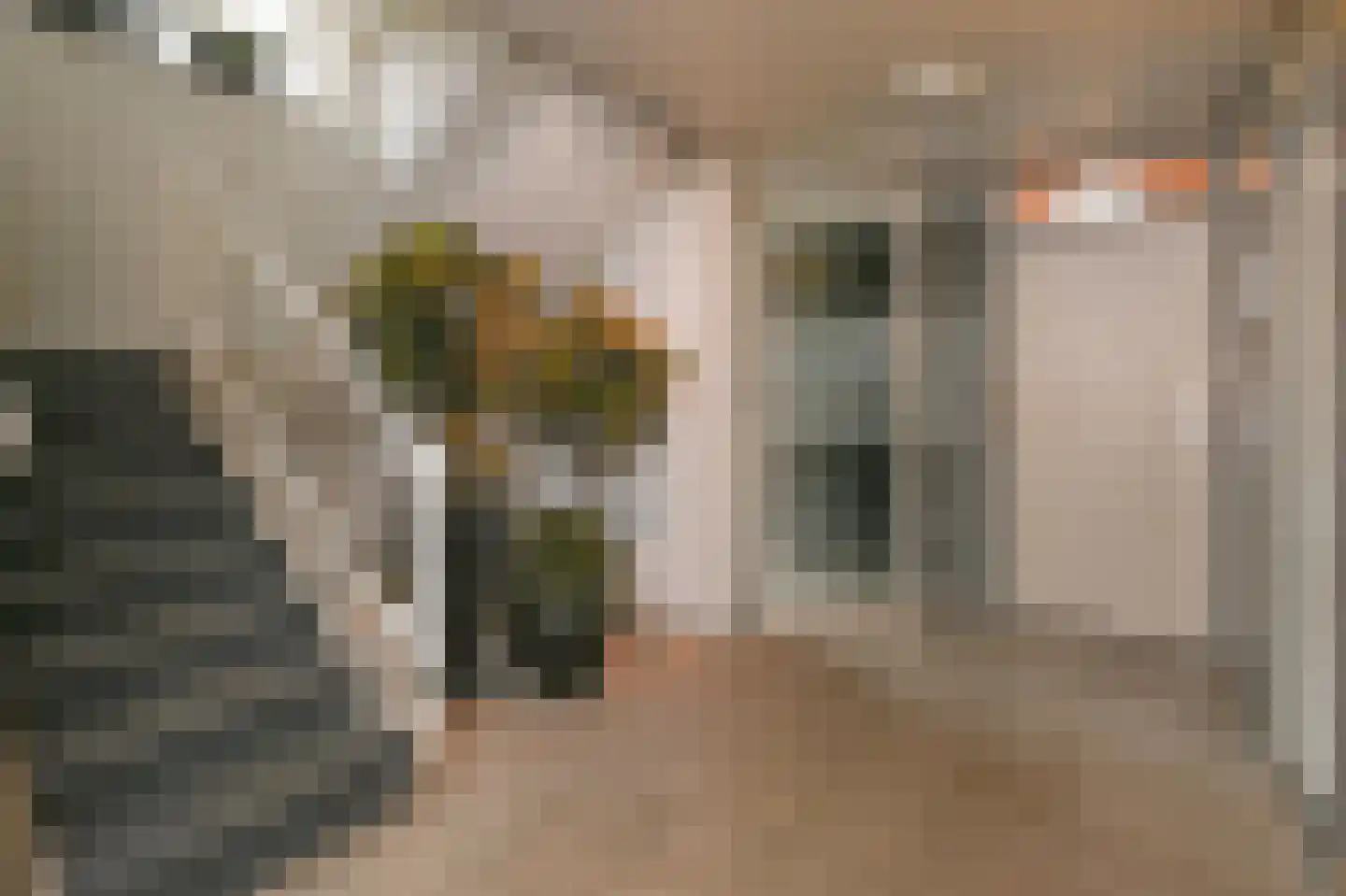 Dublinstraat 123 Zoetermeer thumbnail 9