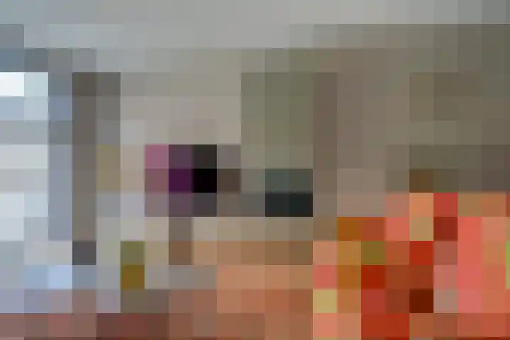 Dublinstraat 16 Utrecht thumbnail 15