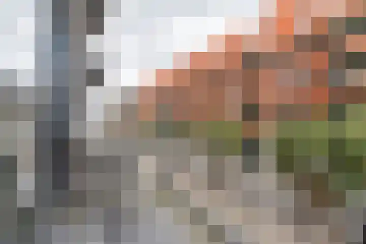Dublinstraat 16 Utrecht thumbnail 28