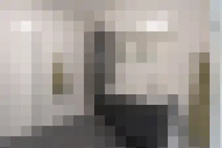 Dublinstraat 16 Utrecht thumbnail 34