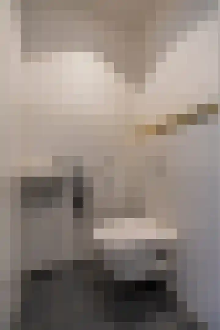 Dublinstraat 16 Utrecht thumbnail 37