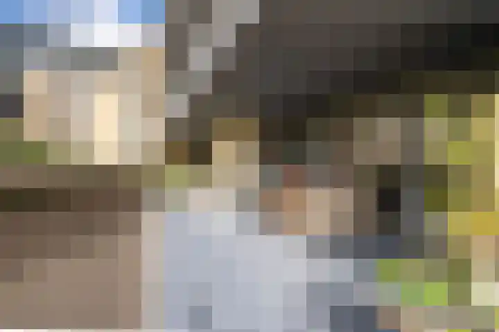 Dublinstraat 16 Utrecht thumbnail 41