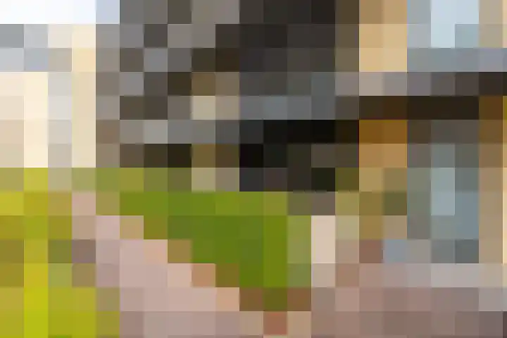Dublinstraat 16 Utrecht thumbnail 43