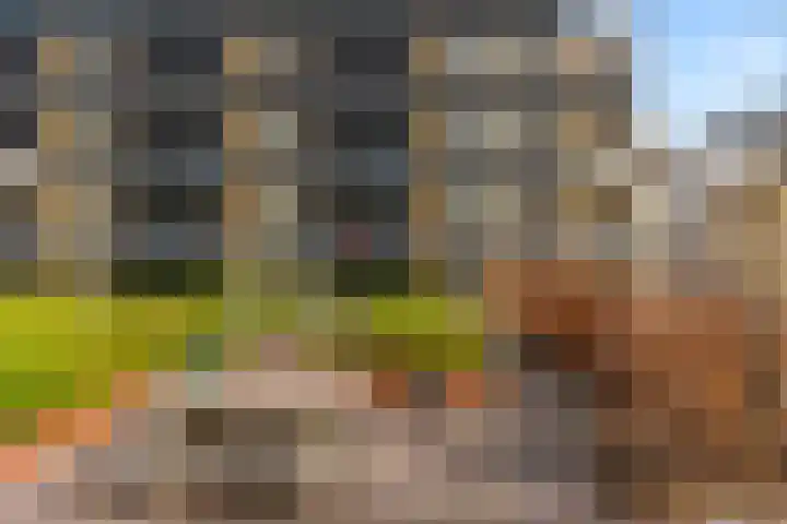 Dublinstraat 16 Utrecht thumbnail 44