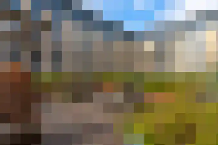 Dublinstraat 16 Utrecht thumbnail 45