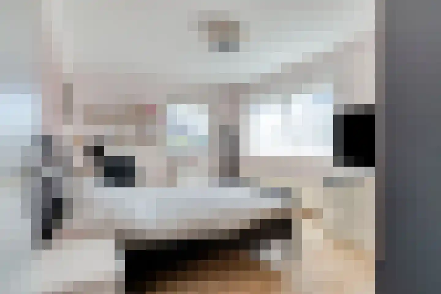 Dublinstraat 169 Zoetermeer thumbnail 37