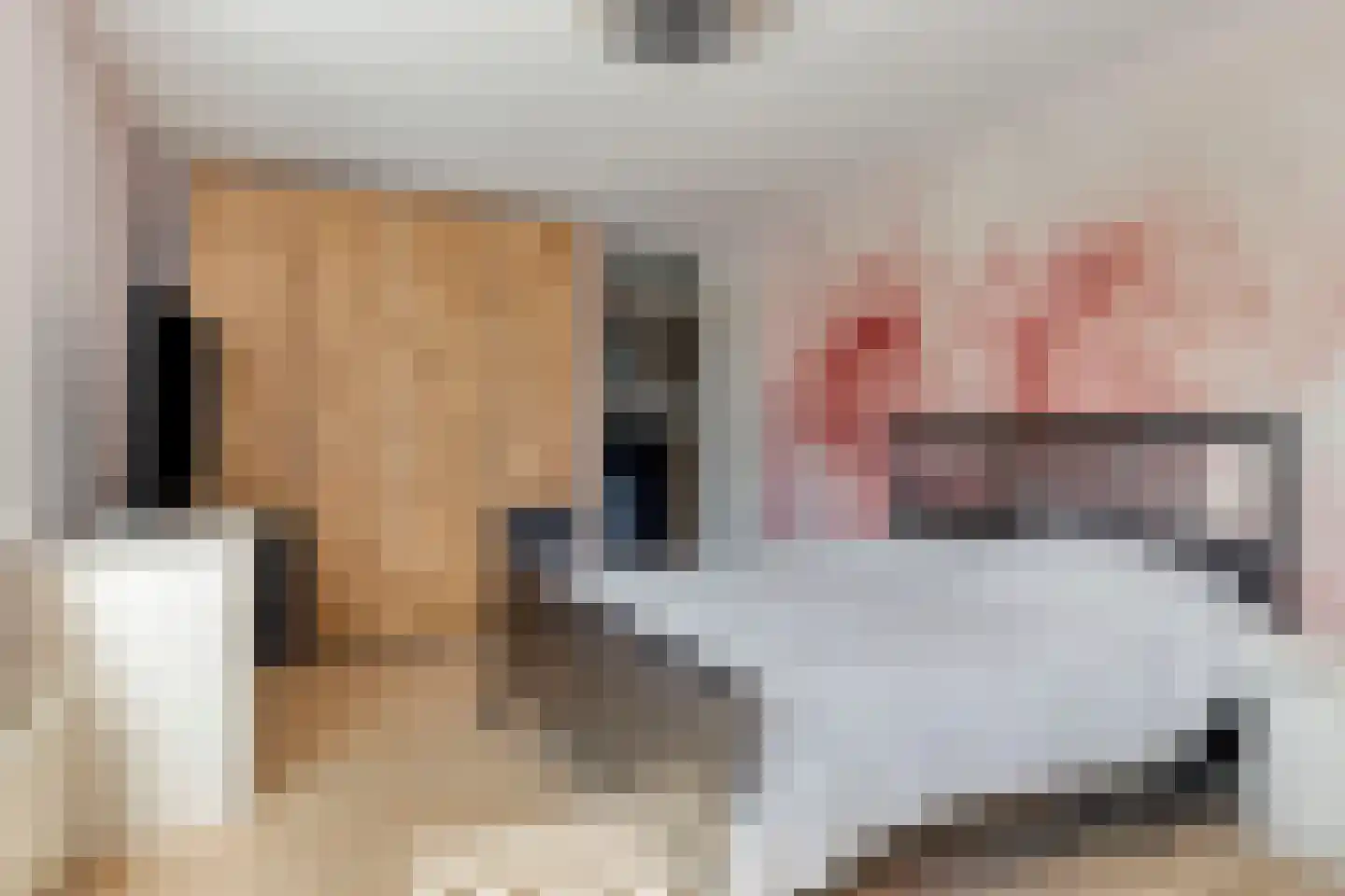 Dublinstraat 169 Zoetermeer thumbnail 38