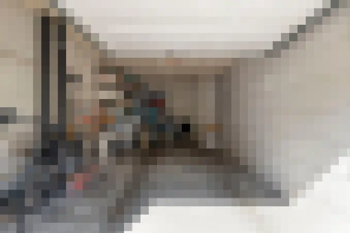 Dublinstraat 169 Zoetermeer thumbnail 43