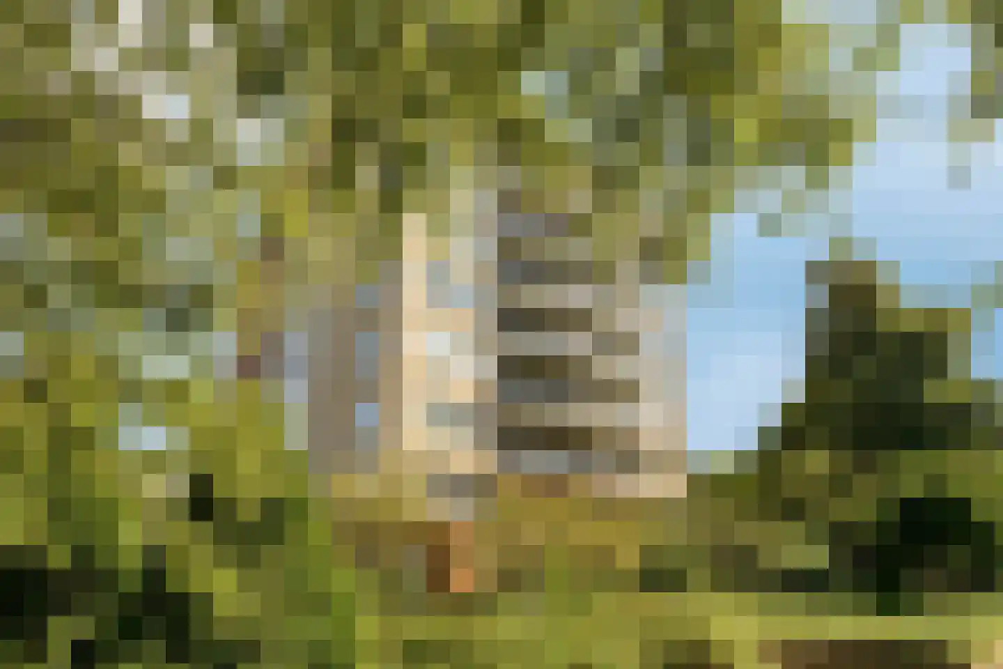 Dublinstraat 169 Zoetermeer thumbnail 47