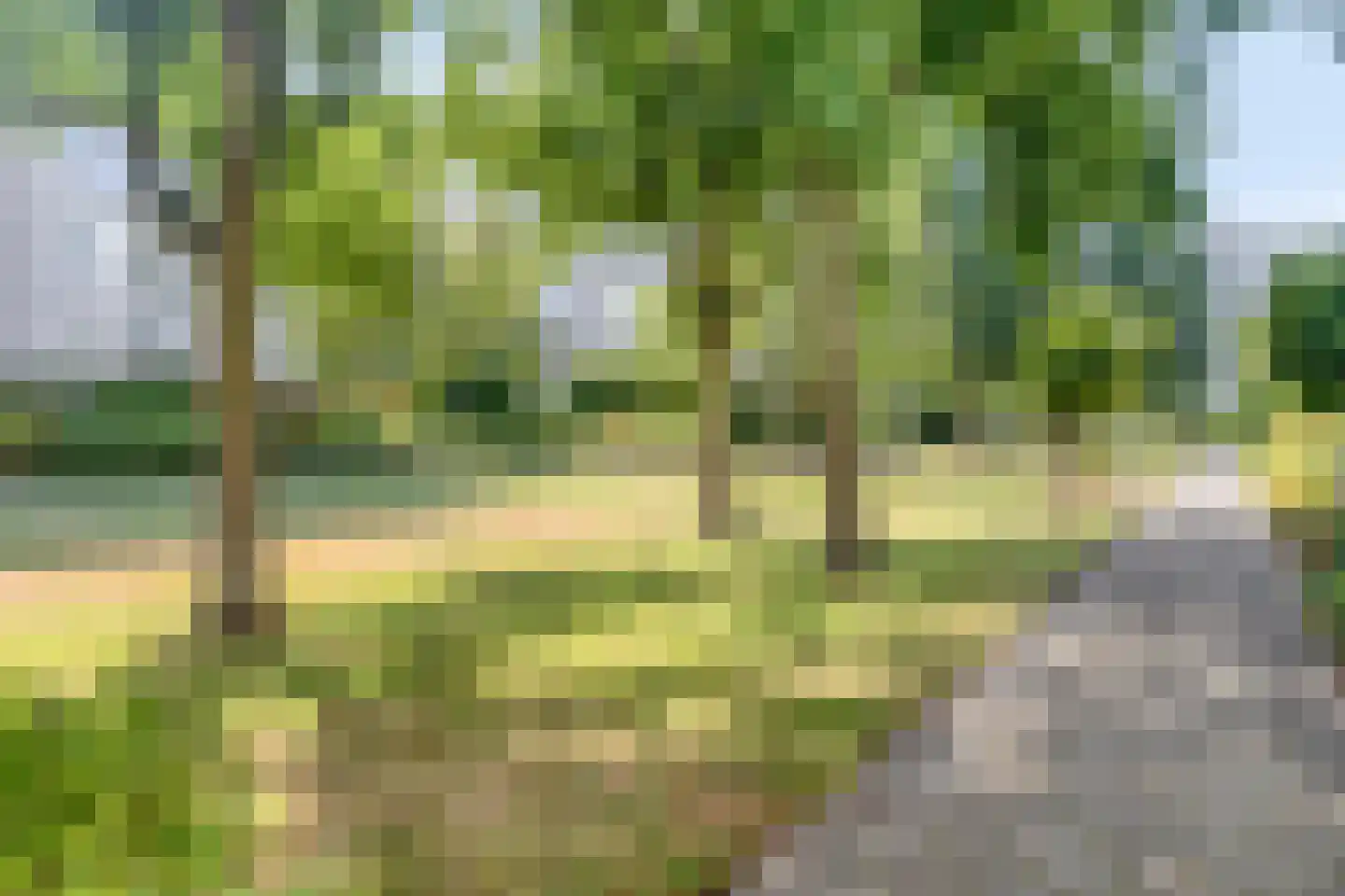 Dublinstraat 169 Zoetermeer thumbnail 48