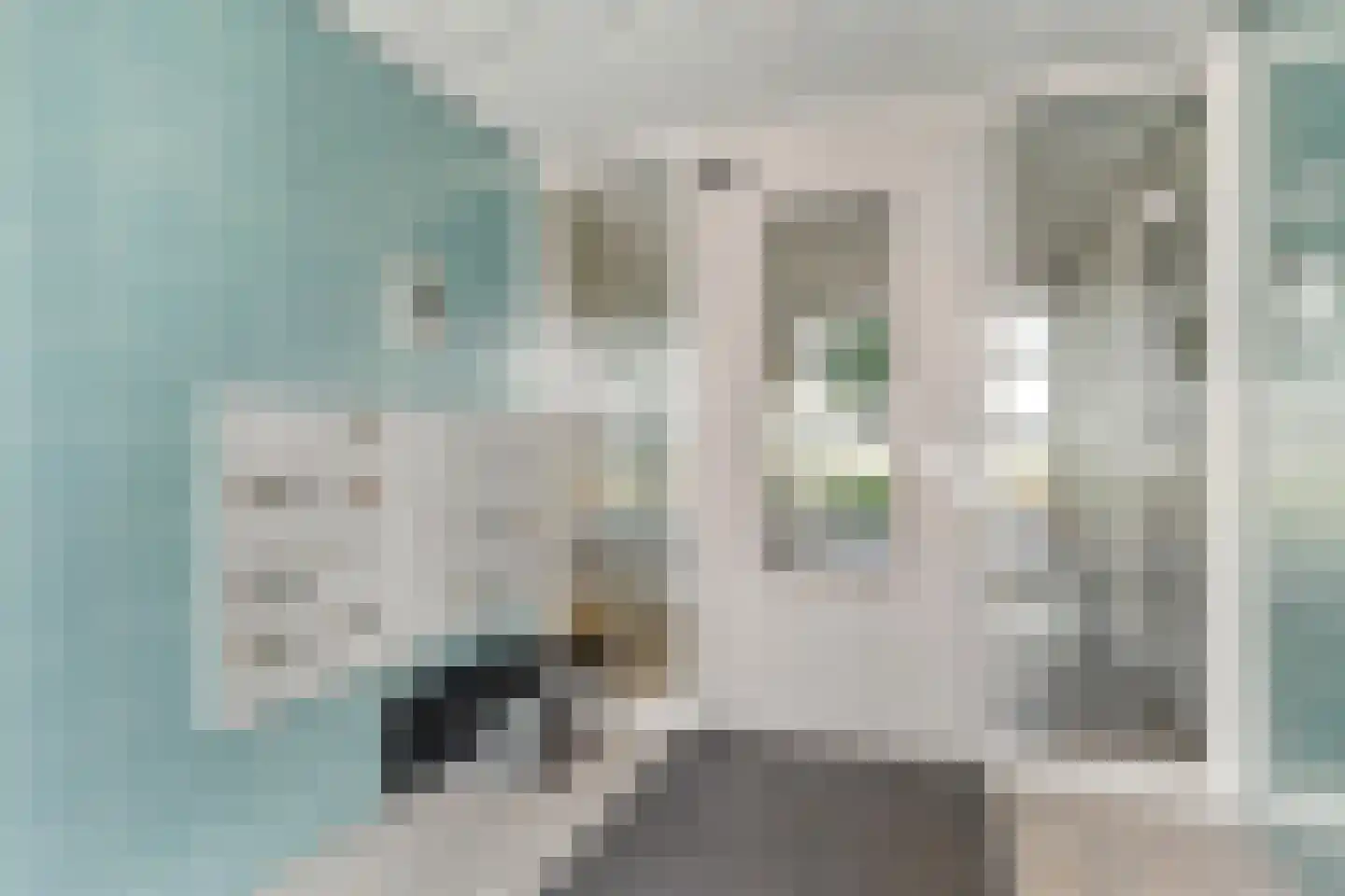 Dublinstraat 169 Zoetermeer thumbnail 7