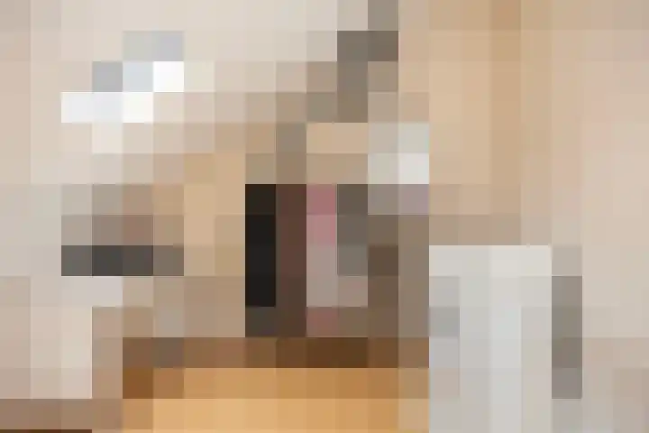 Dublinstraat 22 Hengelo thumbnail 31