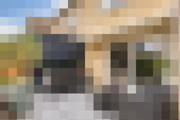 Dublinstraat 22 Hengelo thumbnail 36