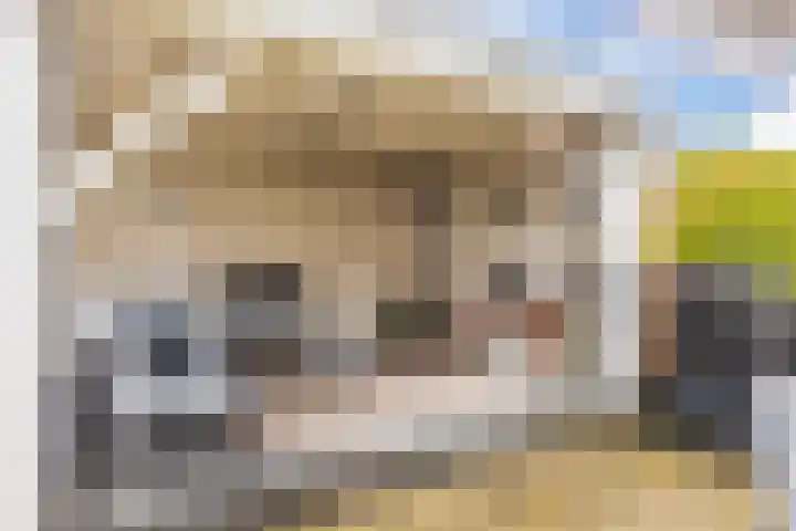 Dublinstraat 22 Hengelo thumbnail 40