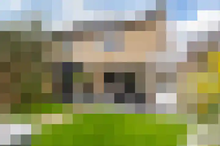 Dublinstraat 22 Hengelo thumbnail 45