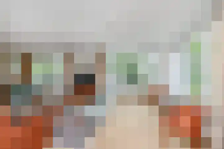 Dublinstraat 253 Zoetermeer thumbnail 15