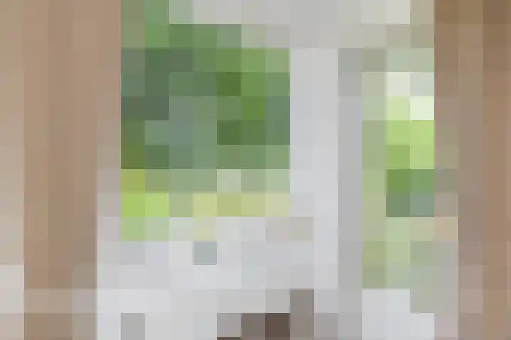 Dublinstraat 253 Zoetermeer thumbnail 19