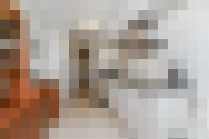 Dublinstraat 253 Zoetermeer thumbnail 20