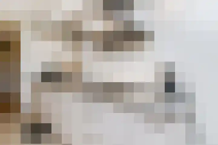 Dublinstraat 253 Zoetermeer thumbnail 21