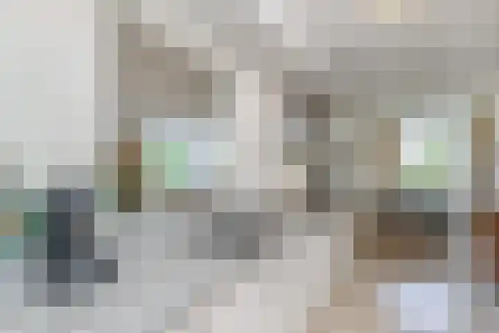 Dublinstraat 253 Zoetermeer thumbnail 22