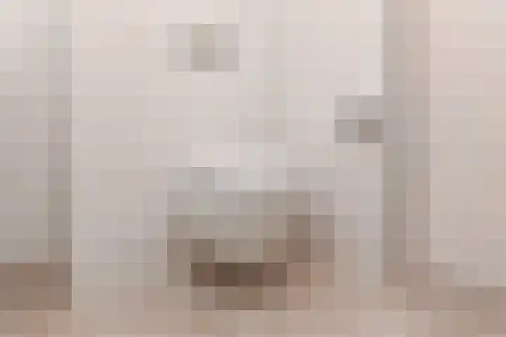 Dublinstraat 253 Zoetermeer thumbnail 32