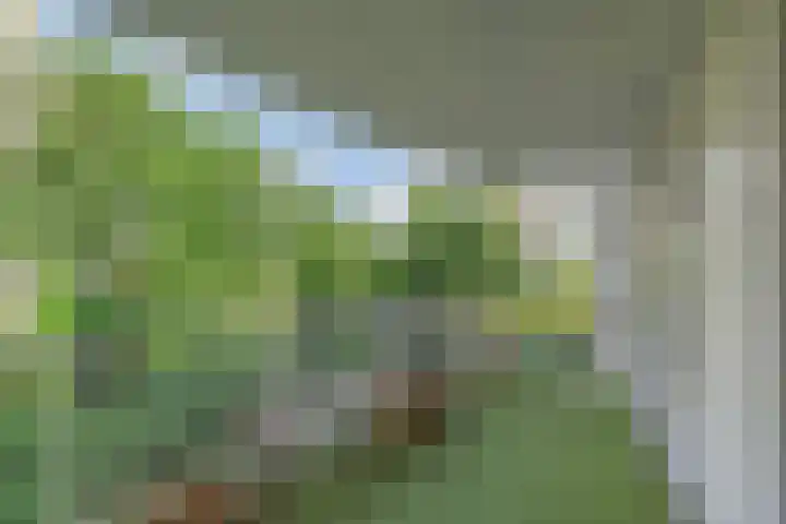 Dublinstraat 253 Zoetermeer thumbnail 34