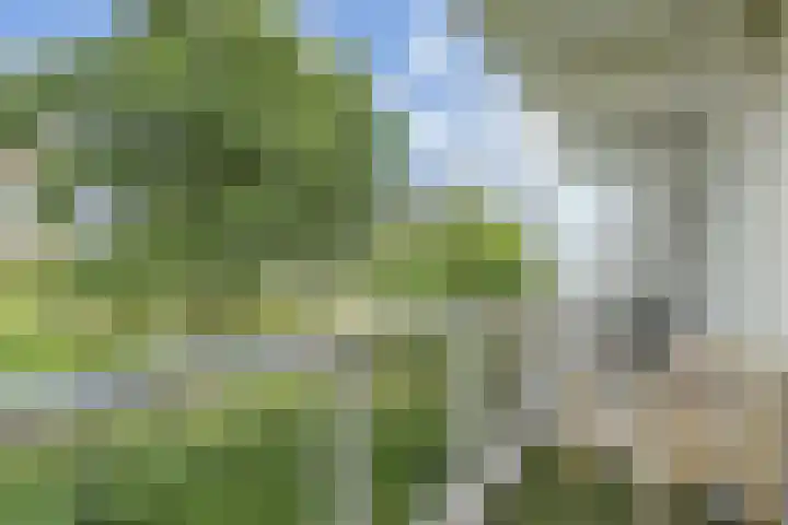 Dublinstraat 253 Zoetermeer thumbnail 36