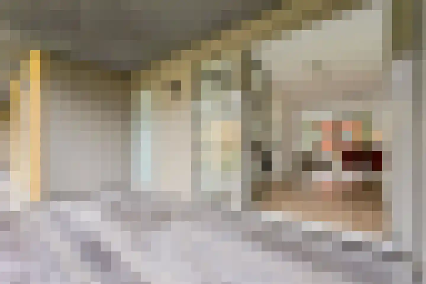 Dublinstraat 46 Utrecht thumbnail 15