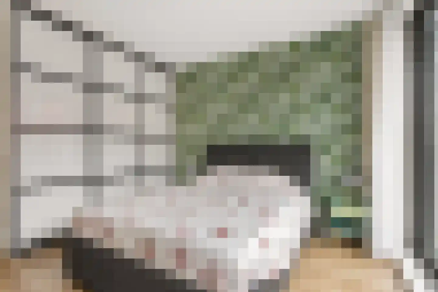 Dublinstraat 46 Utrecht thumbnail 18