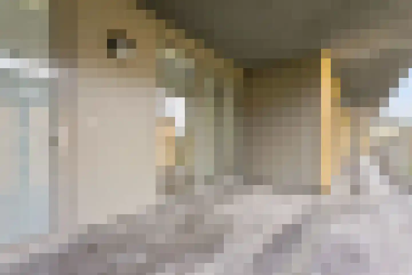 Dublinstraat 46 Utrecht thumbnail 33