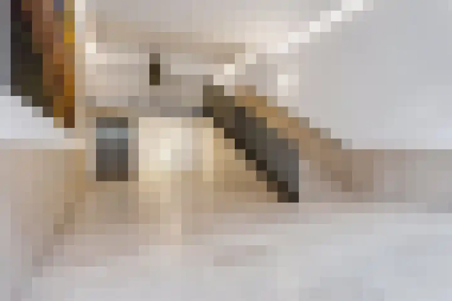 Dublinstraat 46 Utrecht thumbnail 37