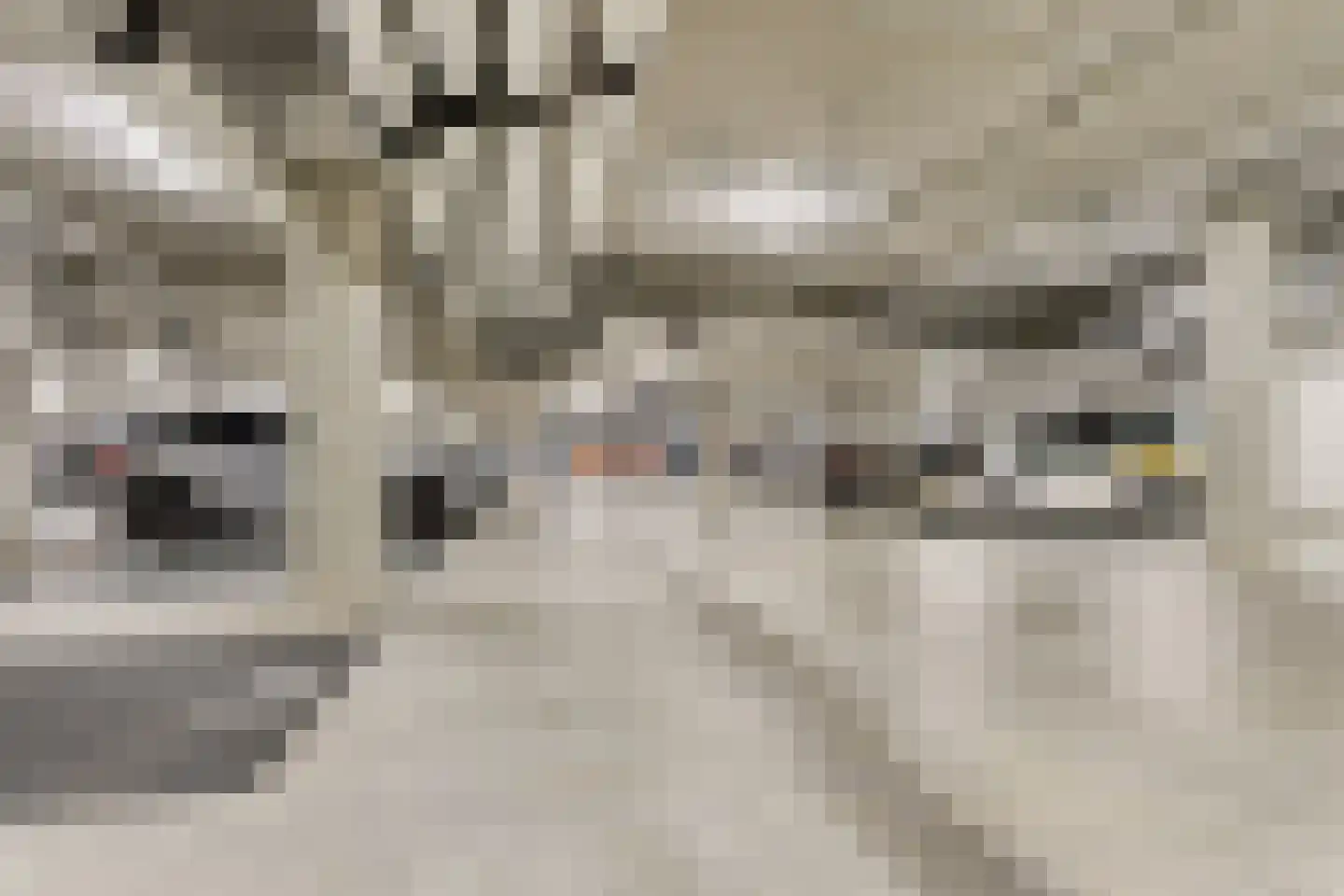 Dublinstraat 46 Utrecht thumbnail 39