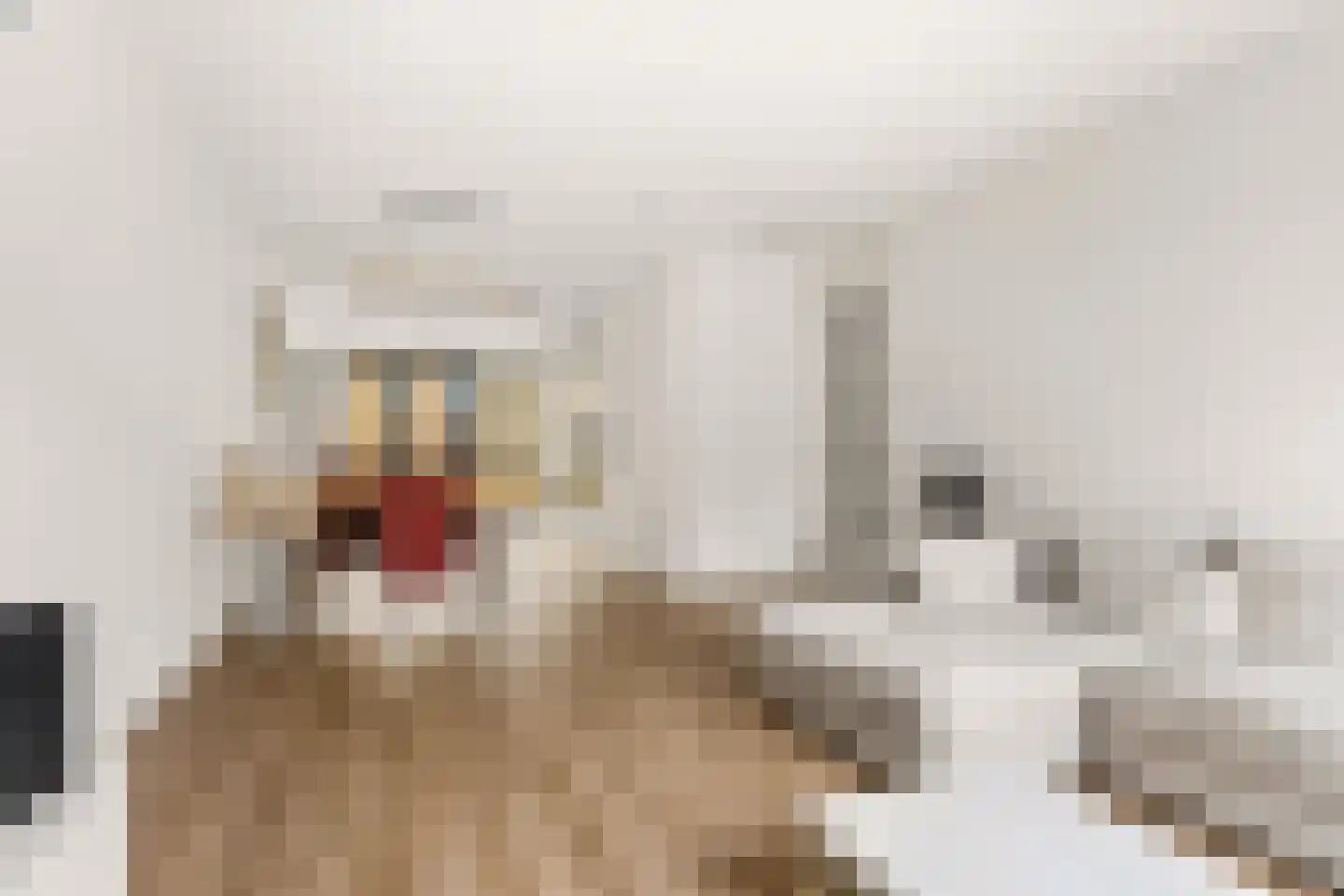 Dublinstraat 46 Utrecht thumbnail 8