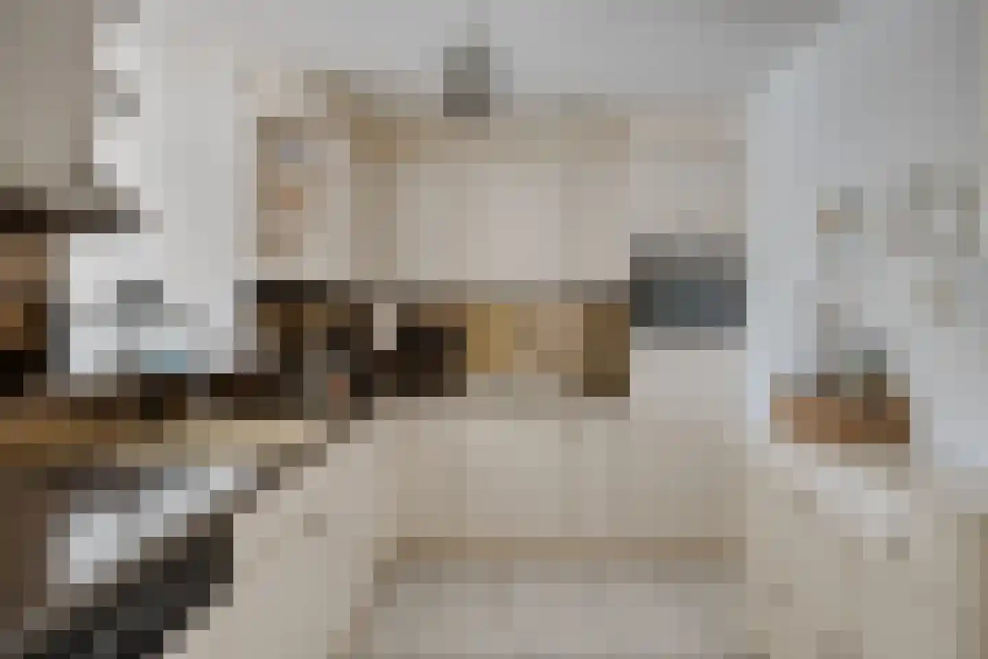 Dublinstraat 5 Zoetermeer thumbnail 11