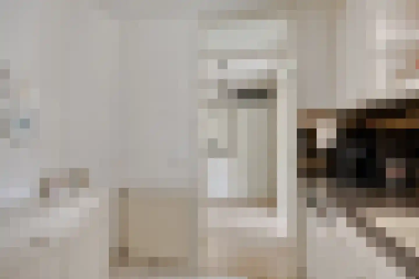 Dublinstraat 5 Zoetermeer thumbnail 12