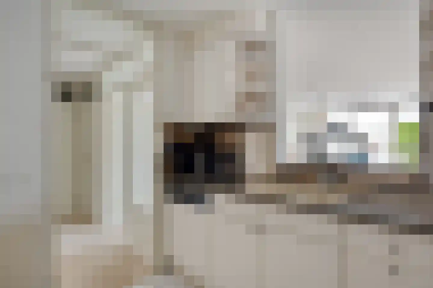 Dublinstraat 5 Zoetermeer thumbnail 13
