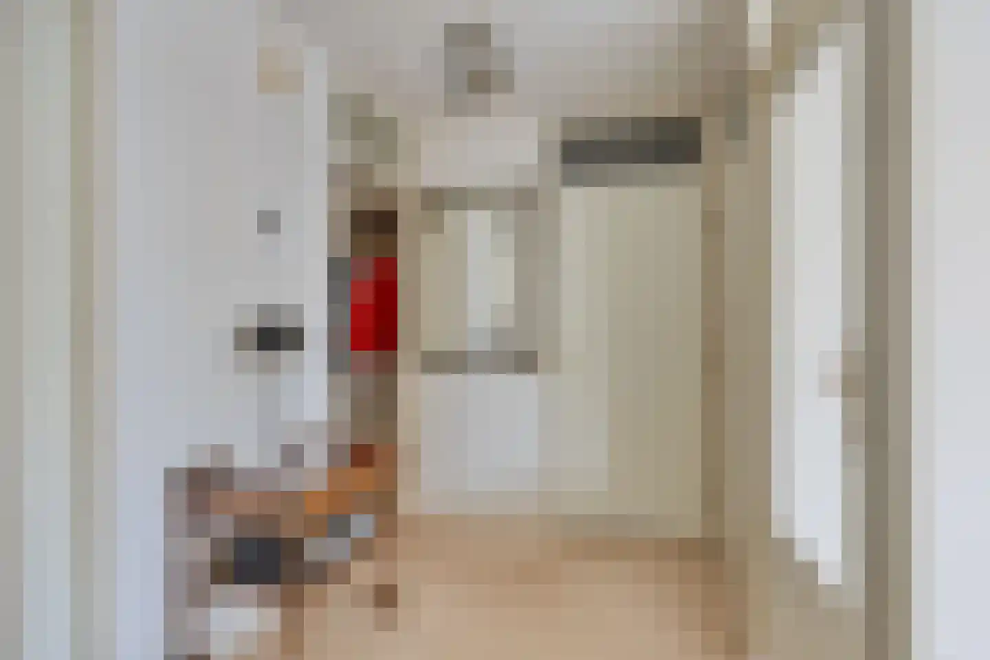 Dublinstraat 5 Zoetermeer thumbnail 15