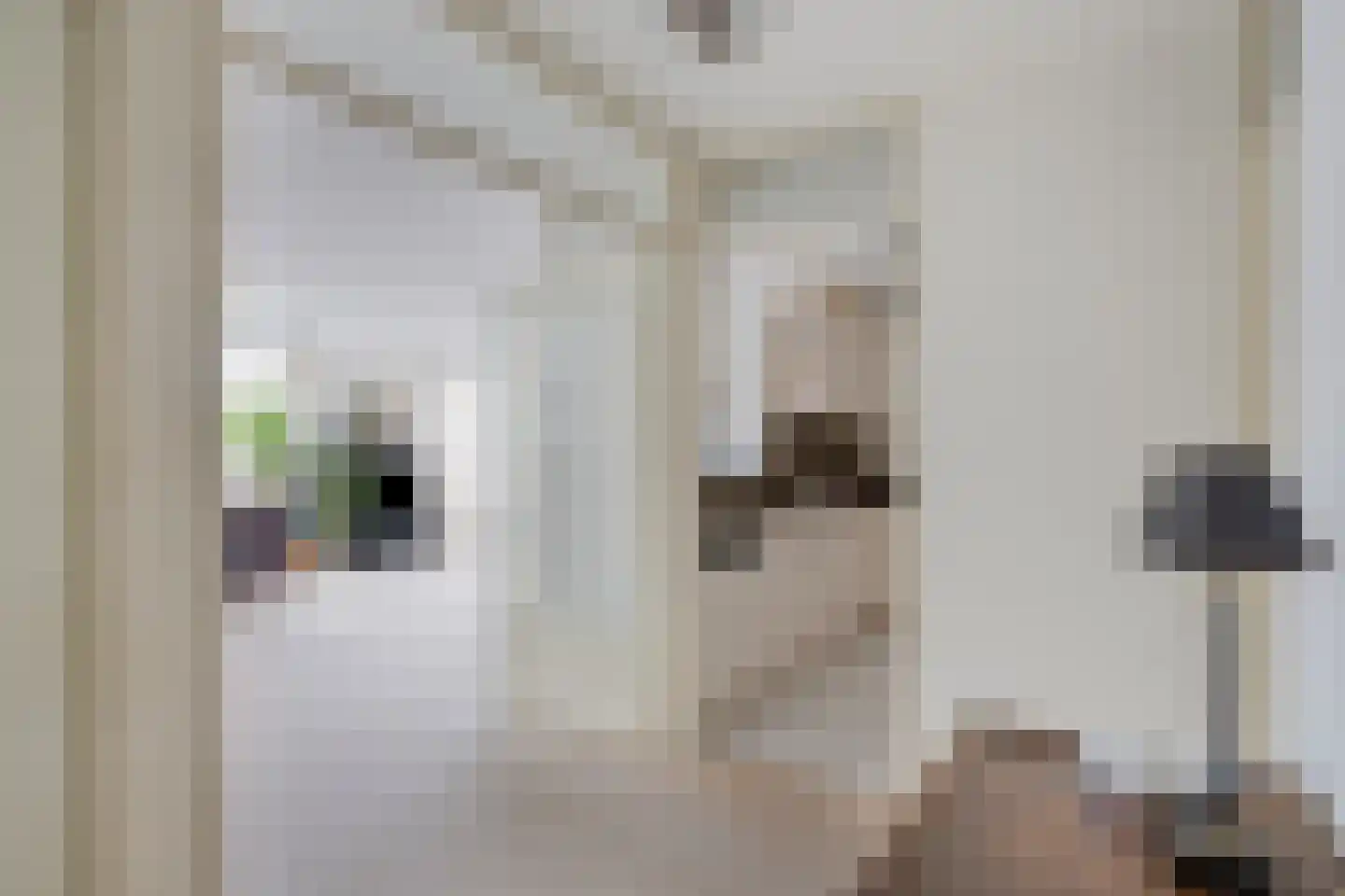 Dublinstraat 5 Zoetermeer thumbnail 17