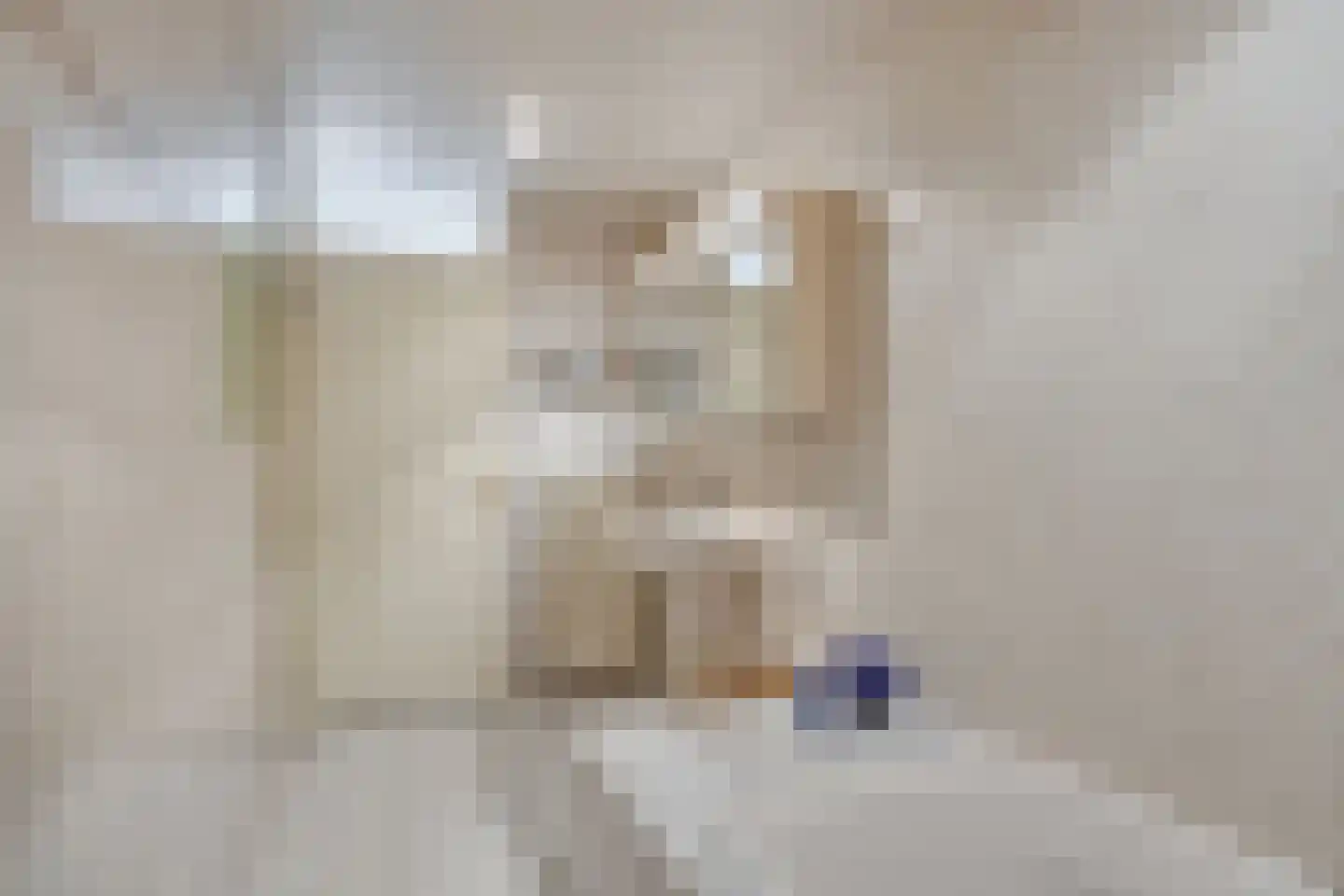 Dublinstraat 5 Zoetermeer thumbnail 22