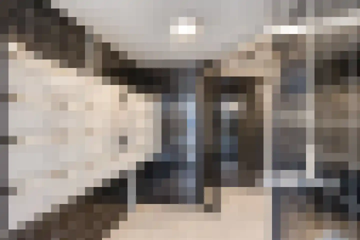 Dublinstraat 5 Zoetermeer thumbnail 34