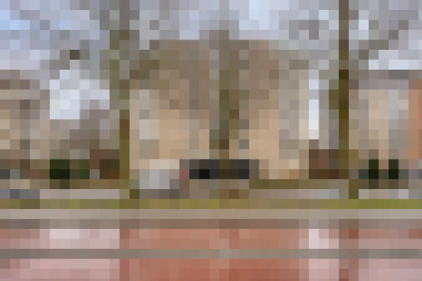 Dublinstraat 5 Zoetermeer thumbnail 37