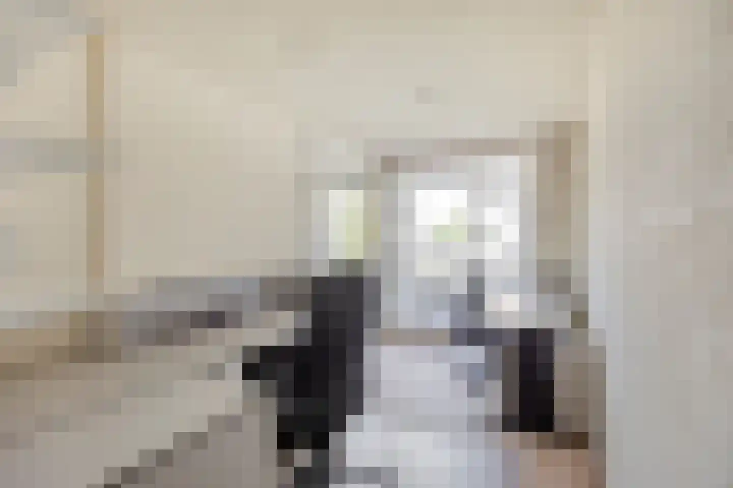 Dublinstraat 65 Zoetermeer thumbnail 15