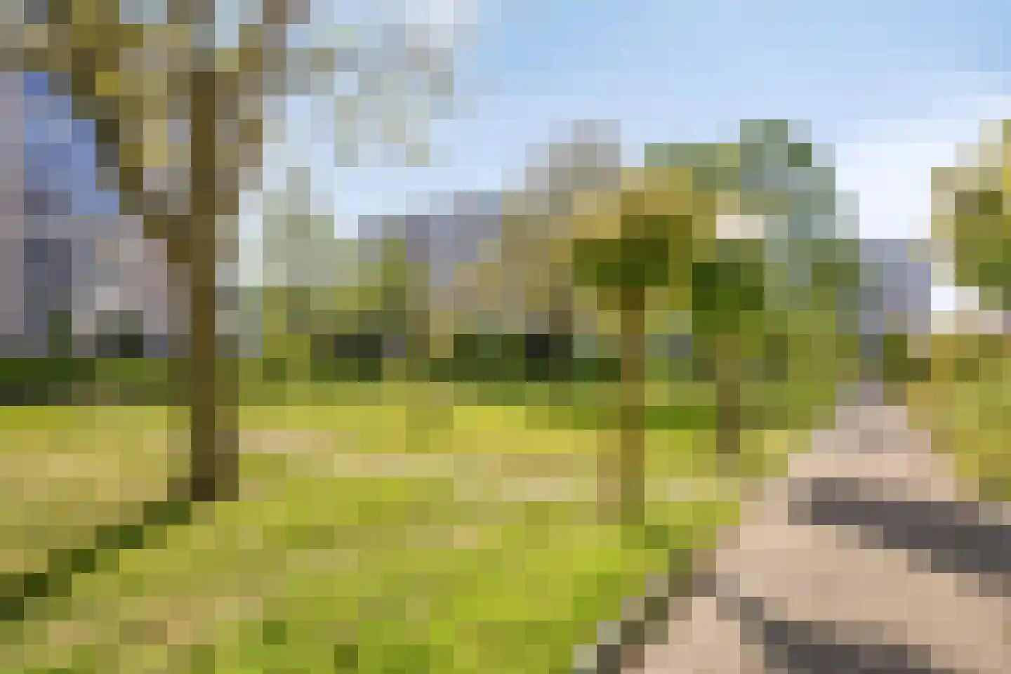 Dublinstraat 65 Zoetermeer thumbnail 40