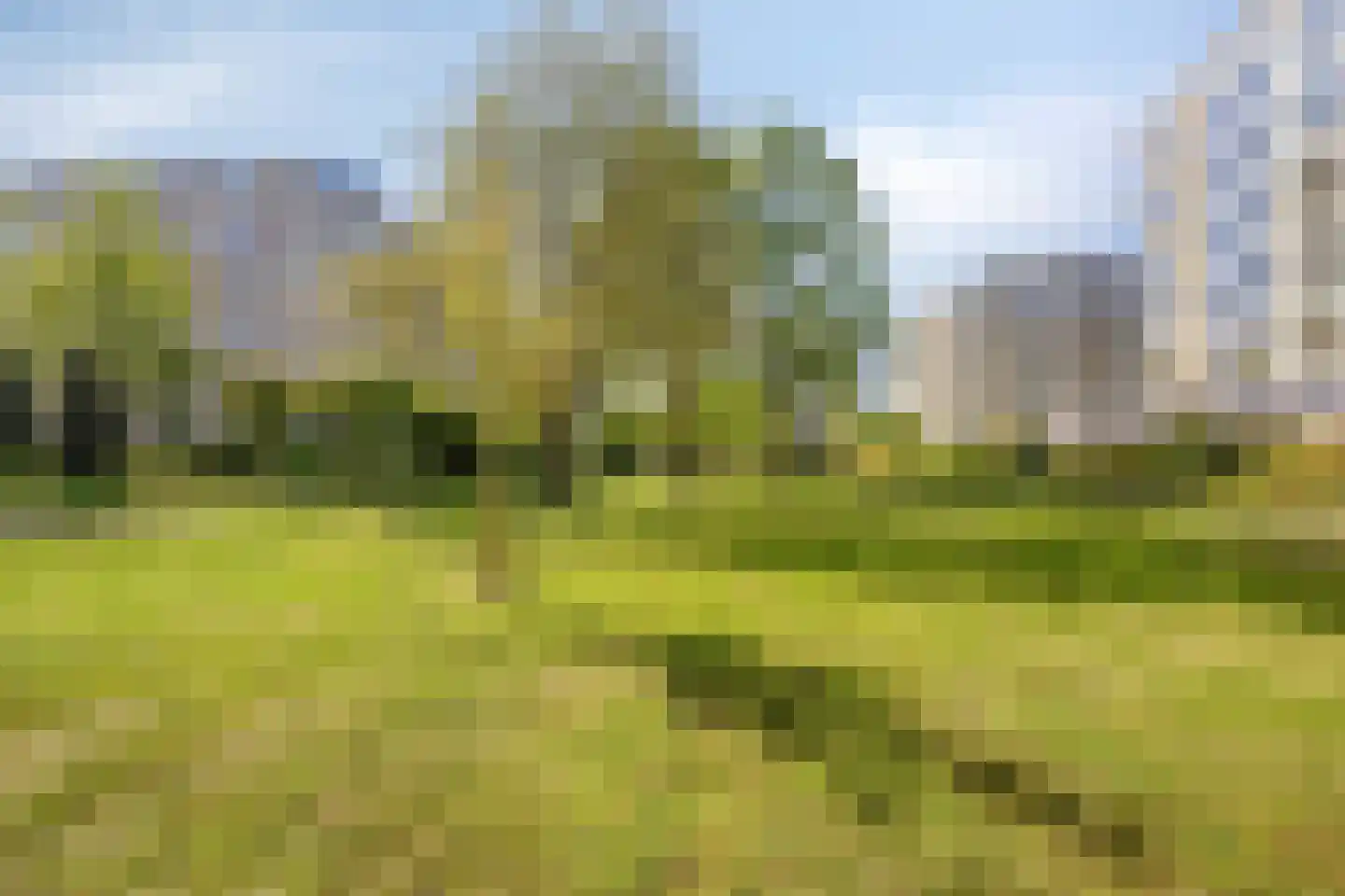 Dublinstraat 65 Zoetermeer thumbnail 41