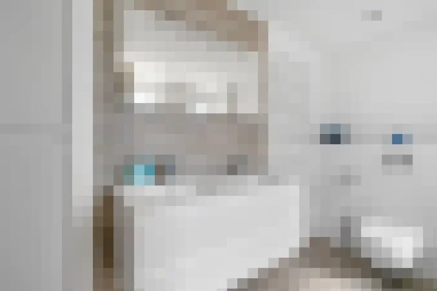 Dublinstraat 8 Hengelo thumbnail 31