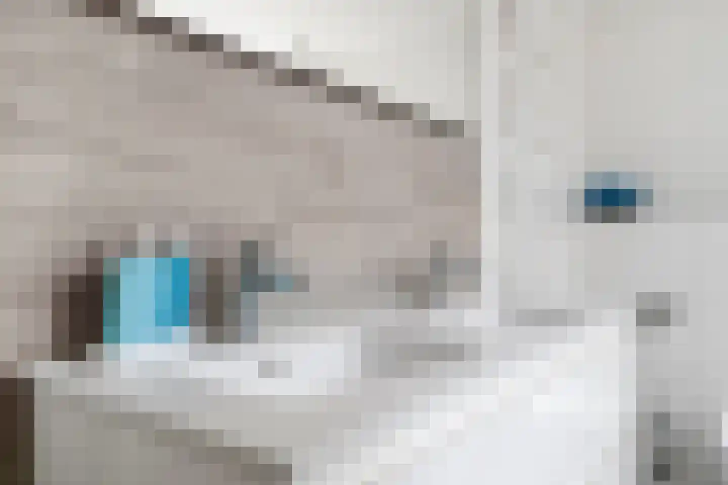 Dublinstraat 8 Hengelo thumbnail 34