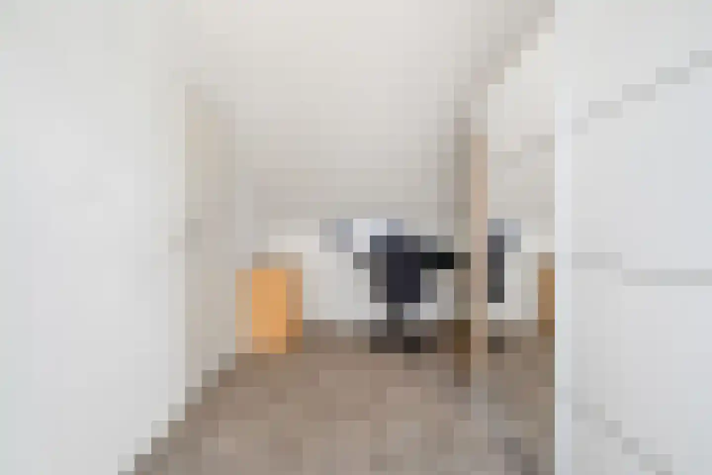Dublinstraat 8 Hengelo thumbnail 37